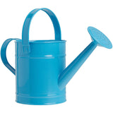 Watering Can Grade 1 prop