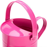 Watering Can Grade 1 prop