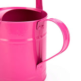 Watering Can Grade 1 prop