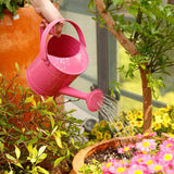 Watering Can Grade 1 prop